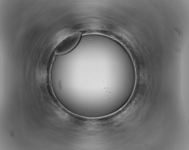 X0000111491065200907141234