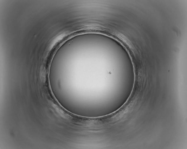 X0000111491067200907141234