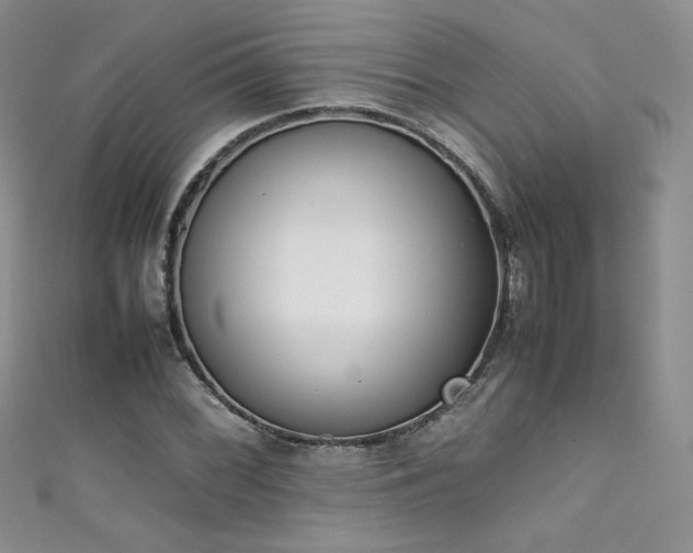 X0000111491068200907141234