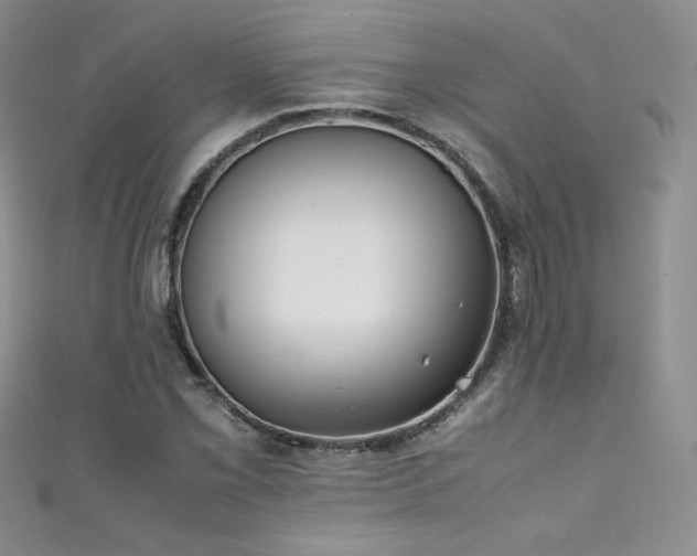 X0000111491069200907141234