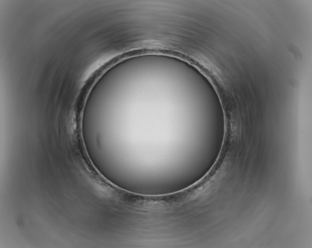X0000111491070200907141234