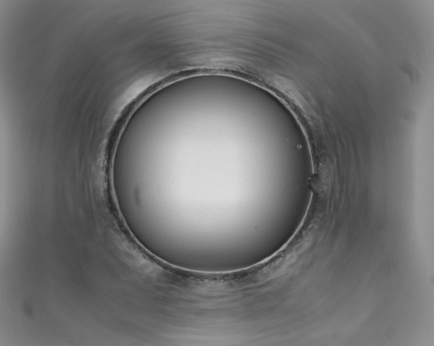X0000111491071200907141234