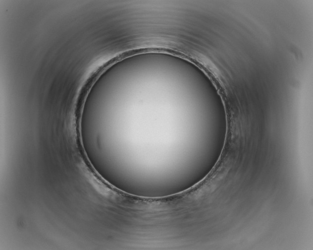 X0000111491072200907141234