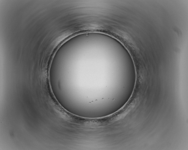 X0000111491073200907141234