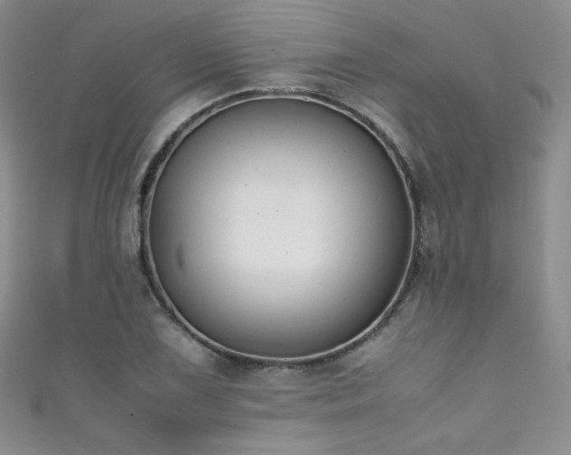 X0000111491075200907141234