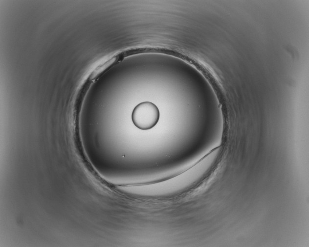 X0000111491077200907141234