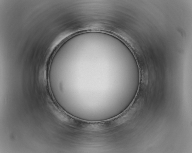 X0000111491078200907141234