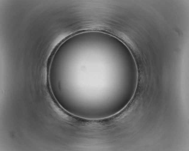X0000111491079200907141234
