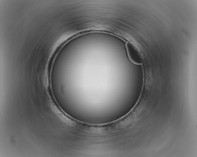 X0000111491080200907141234