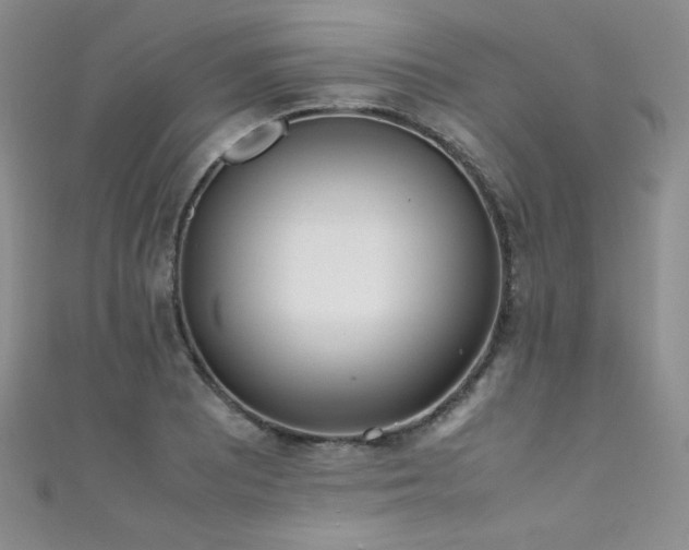 X0000111491081200907141234