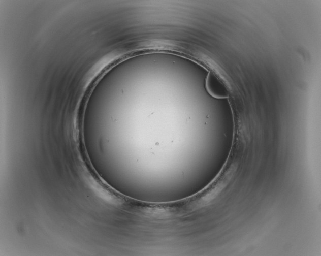 X0000111491082200907141234
