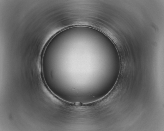 X0000111491084200907141234