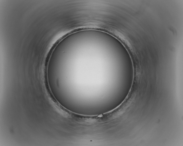 X0000111491085200907141234