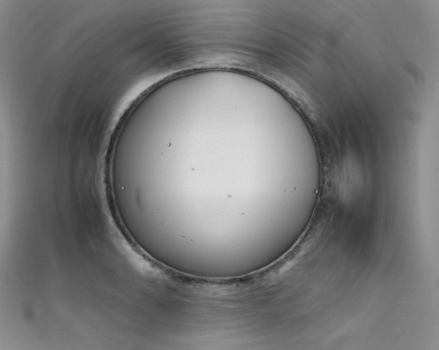 X0000111491086200907141234