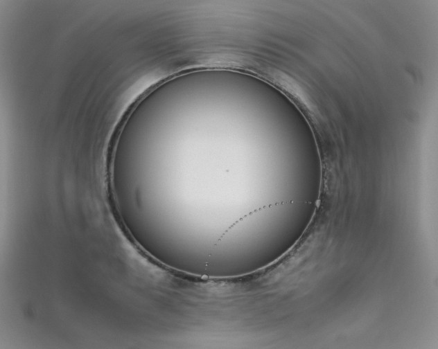 X0000111491087200907141234