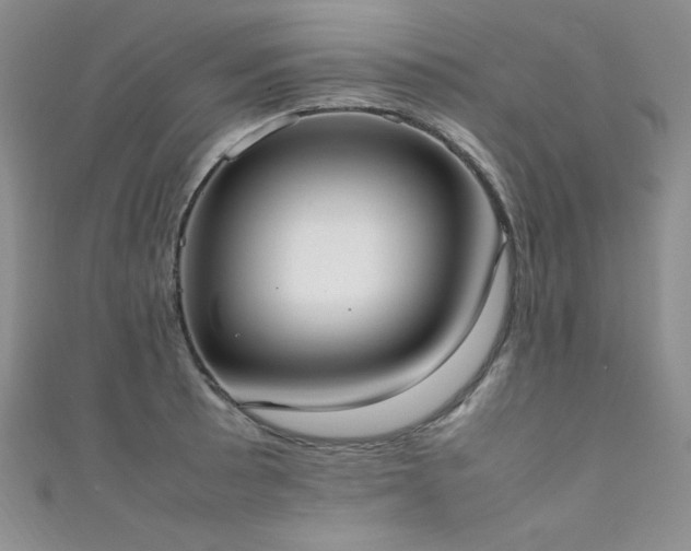 X0000111491089200907141234