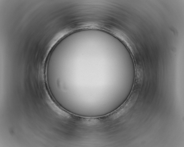 X0000111491090200907141234