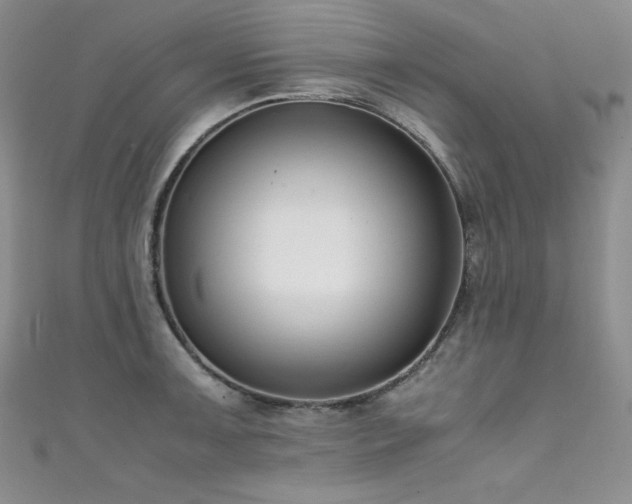 X0000111491091200907141234
