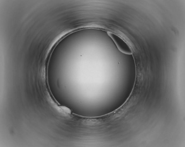 X0000111491092200907141234