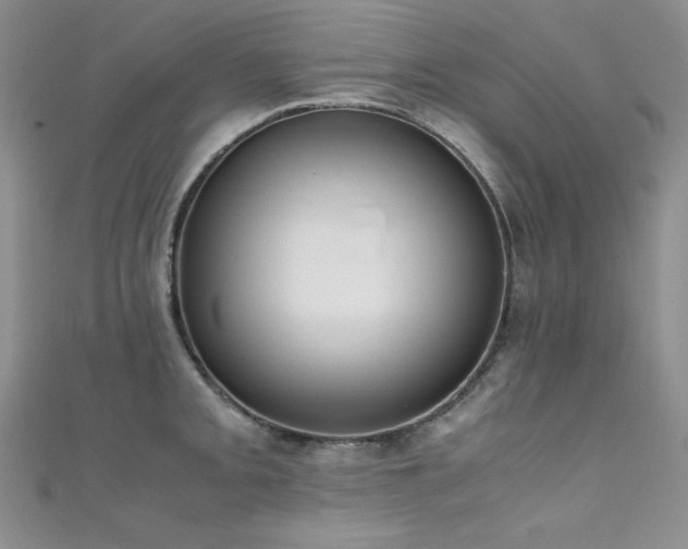 X0000111491093200907141234