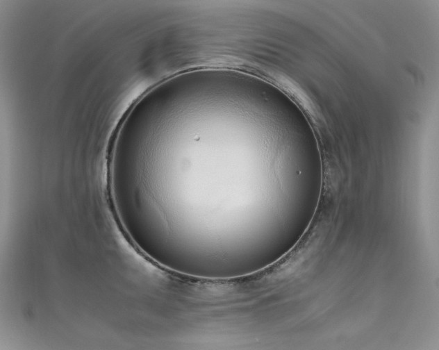 X0000111491095200907141234