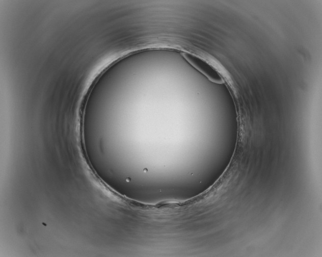 X0000111491096200907141233