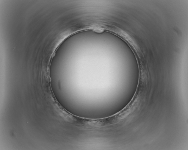 X0000111491097200907141233