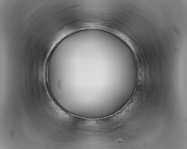 X0000111491098200907141233