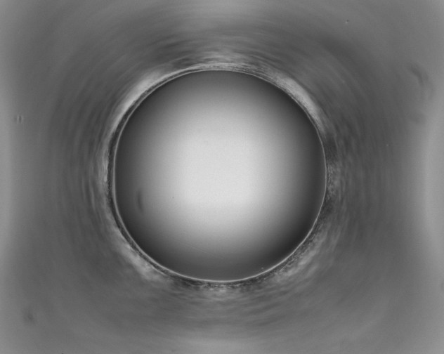 X0000111491099200907141233
