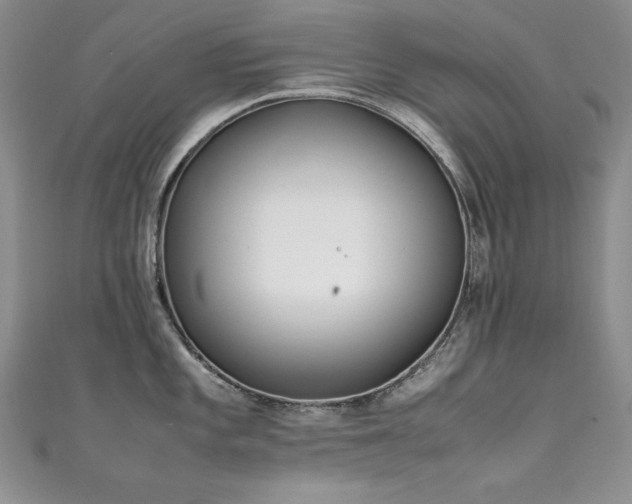 X0000111491101200907141233