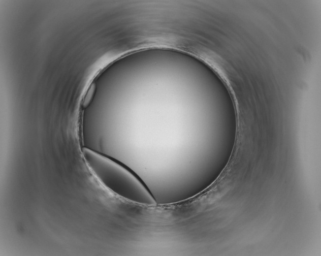 X0000111491104200907141233