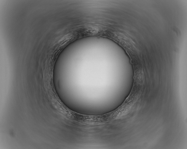 X0000111491105200907141233