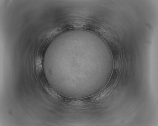 X0000111491106200907141233
