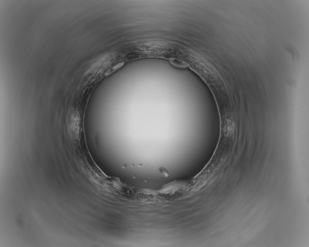 X0000111491108200907141233