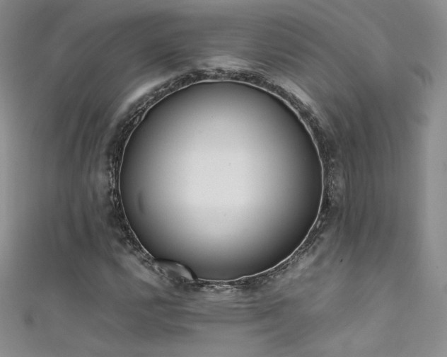 X0000111491112200907141233