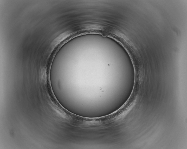 X0000111491113200907141233