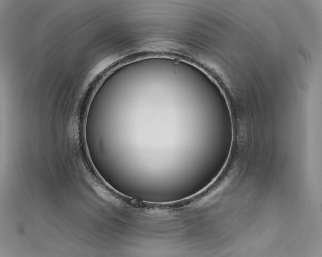 X0000111491114200907141233