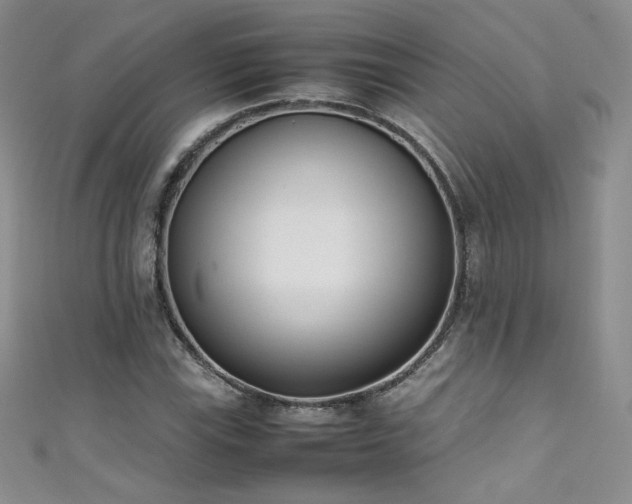 X0000111491115200907141233