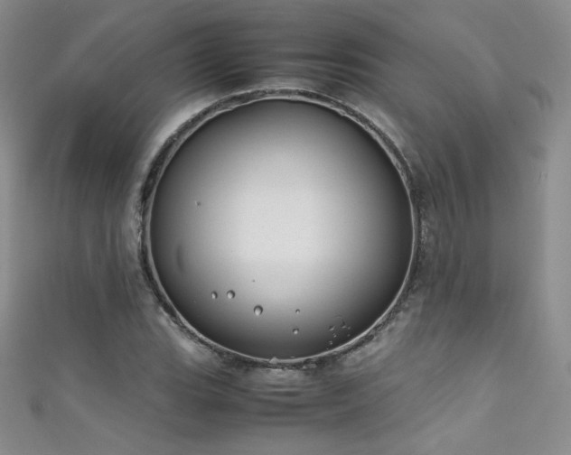 X0000111491119200907141233