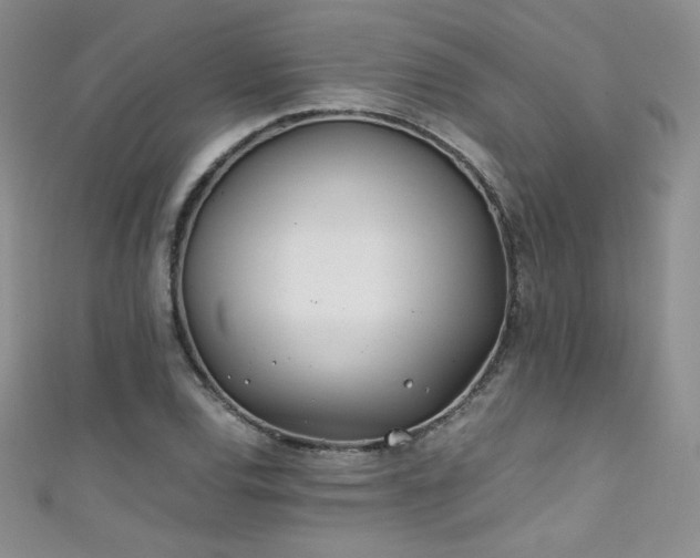 X0000111491120200907141233