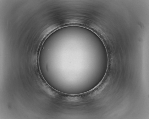 X0000111491121200907141233