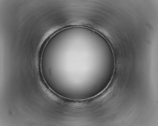 X0000111491122200907141233
