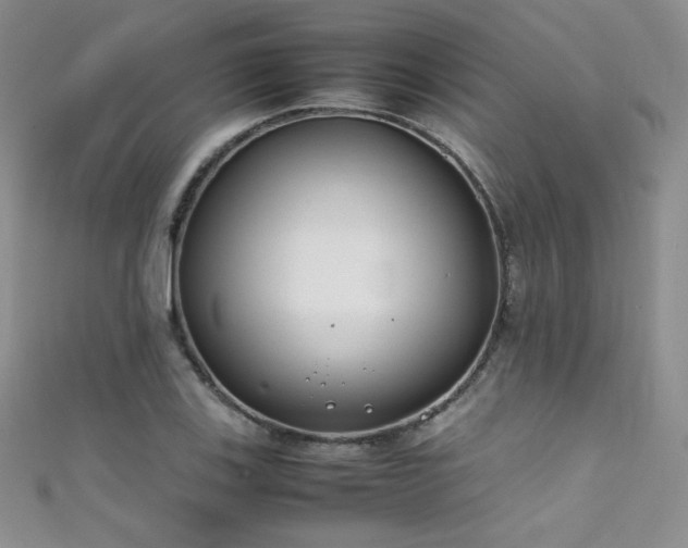 X0000111491123200907141233