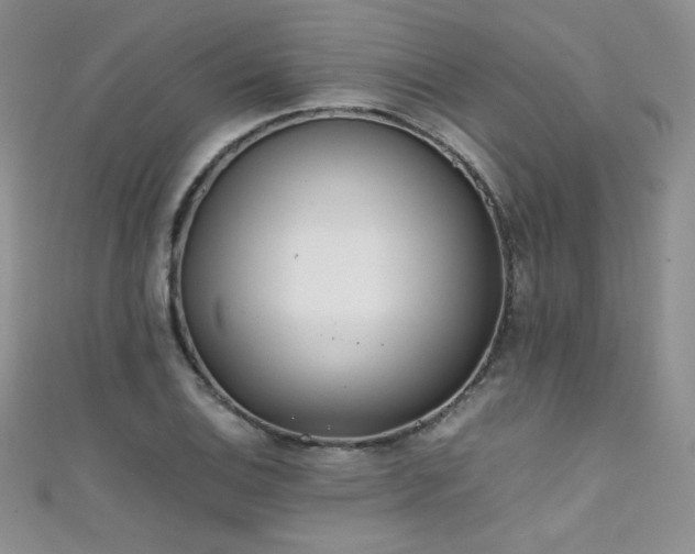 X0000111491124200907141233
