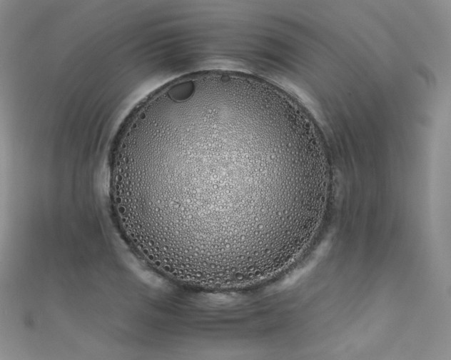 X0000111491125200907141233