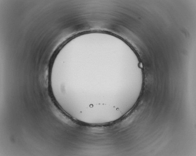 X0000111491126200907141233