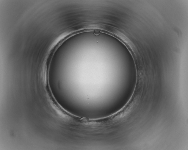 X0000111491127200907141233