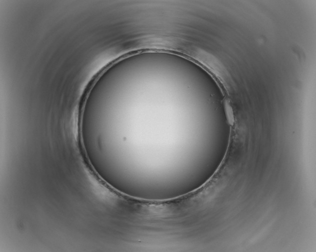 X0000111491128200907141233