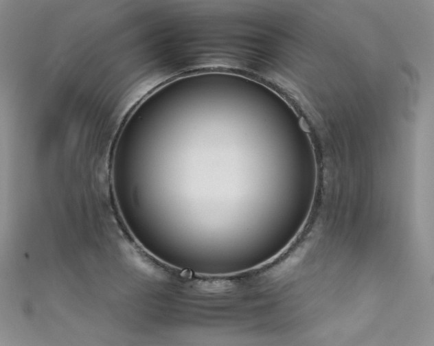 X0000111491129200907141233