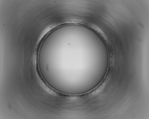 X0000111491130200907141233